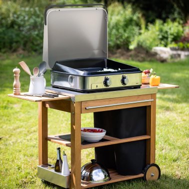 Plancha gaz eno enosign barbecue jardin paysagiste jardinerie (1)